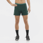 Men's Shorts Cross 5'' Ponderosa Pine