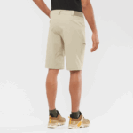 Men's Shorts Wayfarer Plaza Taupe - Image 2