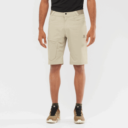Men's Shorts Wayfarer Plaza Taupe