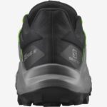 Men's Trail Running Shoes Wildcross 2 Black-Quiet Shade-Green Gecko - Image 3
