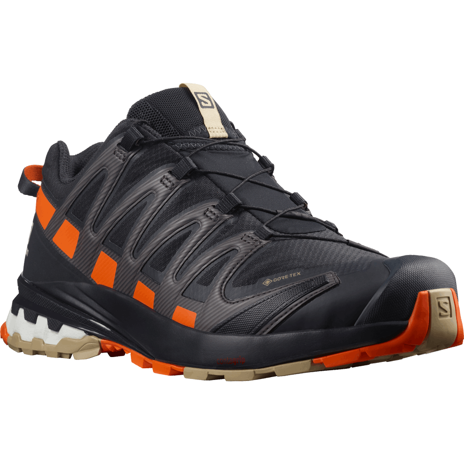 Men's Trail Running Shoes Xa Pro 3D V8 Gore-Tex Night Sky-Safari - Image 2