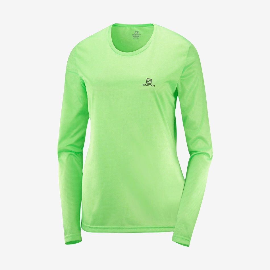 womens_long_sleeve_t_shirt_agile_green_gecko_nocturne.jpg Women's Long Sleeve T-Shirt Agile Green Gecko-Nocturne - Image 1