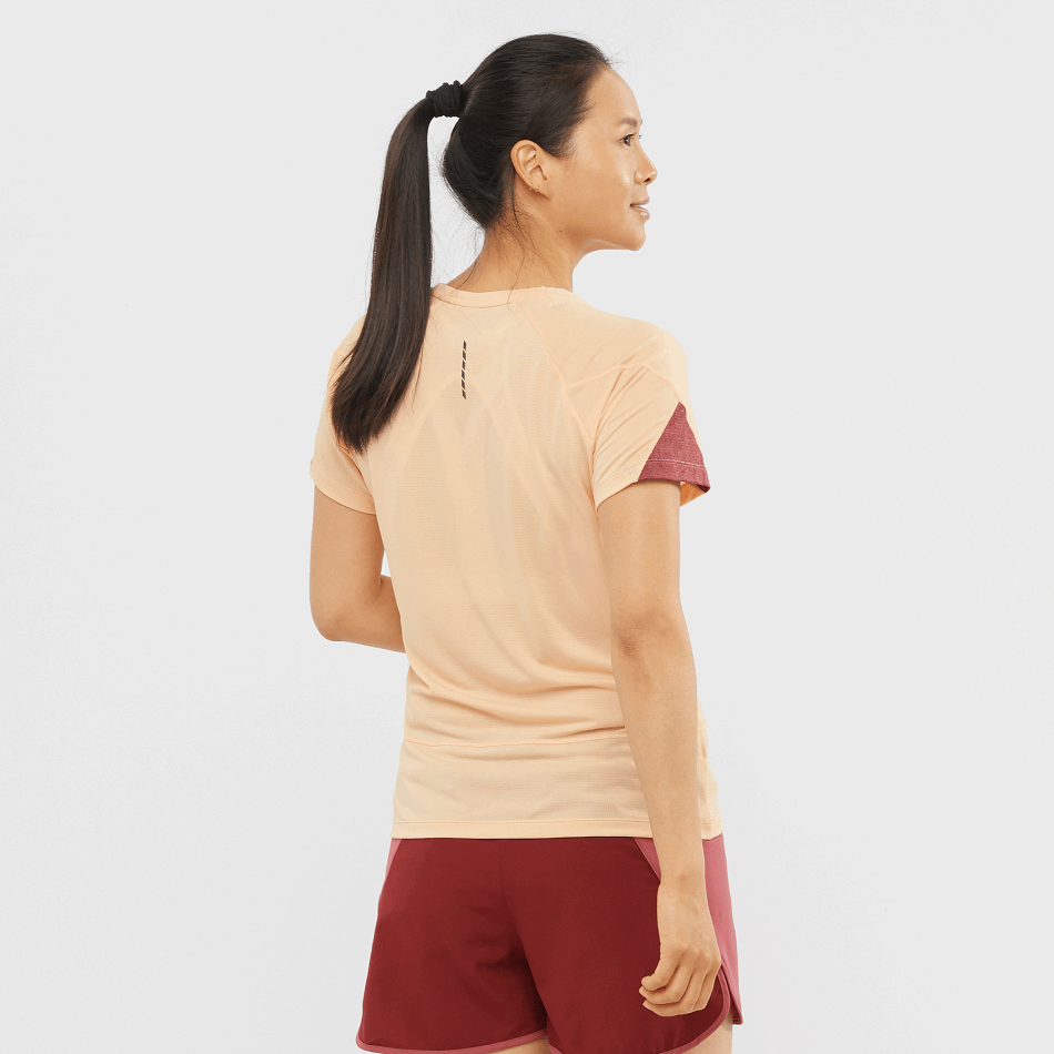 Women's Short Sleeve T-Shirt Cross Run Apricot Ice-Heather-Cabernet - Image 2