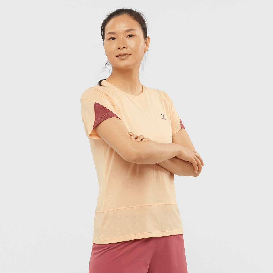 Women's Short Sleeve T-Shirt Cross Run Apricot Ice-Heather-Cabernet - Image 1