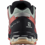 Women's Trail Running Shoes Xa Pro 3D V8 Gore-Tex Wrought Iron-Burnt Sienna-Red - Image 3