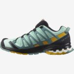 Women's Trail Running Shoes Xa Pro 3D V8 Yucca-Trellis-Arrowwood - Image 5