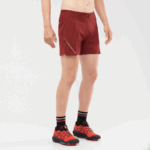Men's Shorts Sense Aero 5'' Cabernet