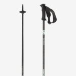 Women's Alpine Poles Shiva Black